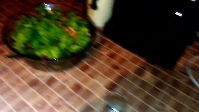 Каникулы подошли к концу! смотреть онлайн