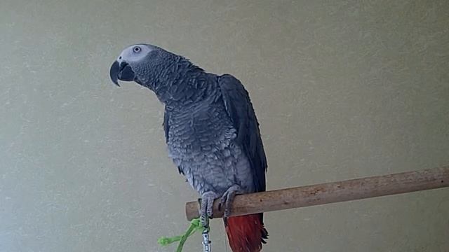 Рецепты быстрых обедов