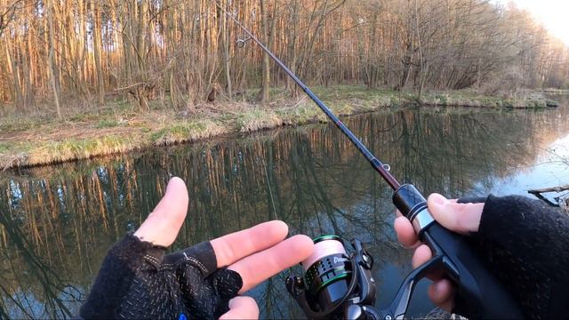 Tsurinoya Kingfisher 800