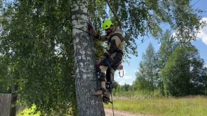 Подъем в гаффах на дерево