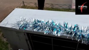 Как избавиться от голубей на подоконнике? Вот он работающий способ - самый лучший лайфхак