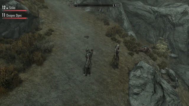 Дундуктор (Монтаж TES Skyrim Together) #sh #tes #skyrimtogether смотреть онлайн