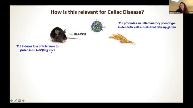 Session 4 Tolerance and Celiac Disease Video смотреть онлайн