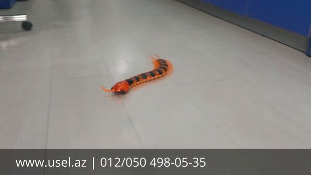 Радиоуправляемая сороконожка - оригинальный подарок взрослому и ребенку! смотреть онлайн