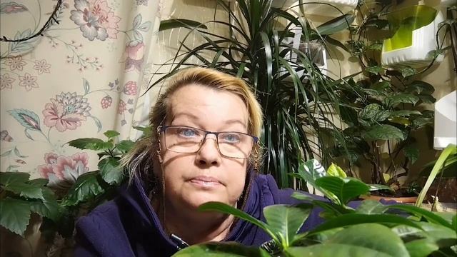 Укрощение строптивой. Сказ о Гардении. смотреть онлайн