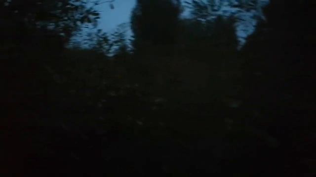 Гон лося! РОЗЫГРЫШ!!!! ПРИМАНКА ДЛЯ БЫКА? смотреть онлайн