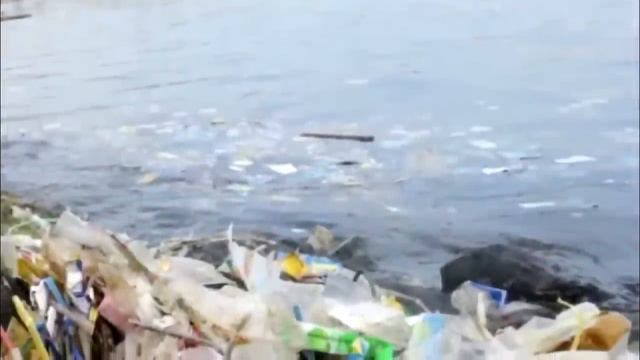 То, что нашли в животе у этого кашалота, потрясло весь МИР! Верится с трудом! смотреть онлайн