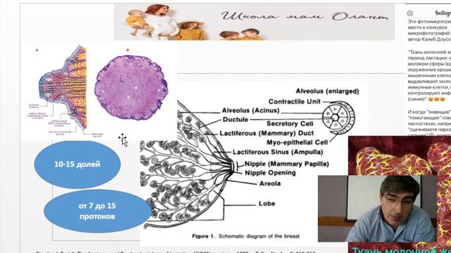 Школа материнства ОНЛАЙН. Геращенко Ярослав Леонидович смотреть онлайн