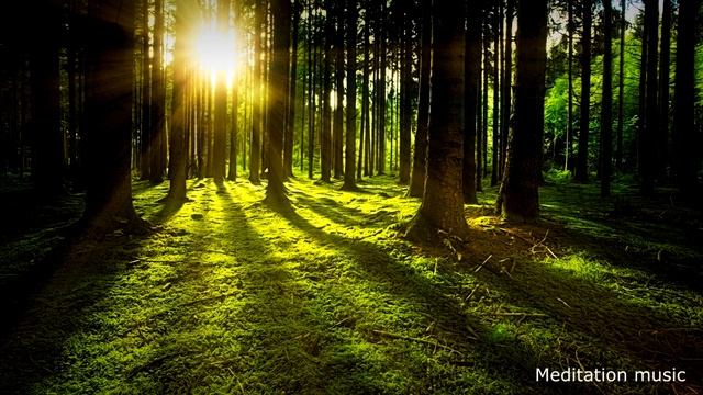 Музыка для энергии смотреть онлайн