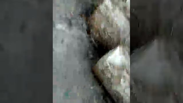 Девочки попали в беду зомби 2 чясьть смотреть онлайн