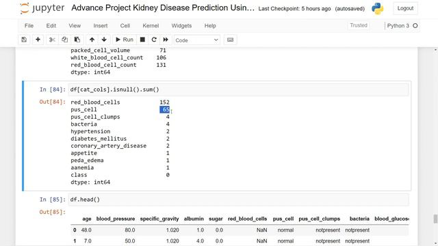 Advance Project : Kidney Disease Classification Using Machine Learning смотреть онлайн