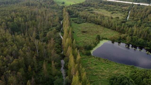 Юнтоловский заказник смотреть онлайн
