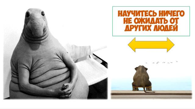 Как избежать конфликтов правила 5 мудростей смотреть онлайн