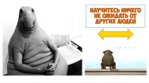 Как избежать конфликтов правила 5 мудростей