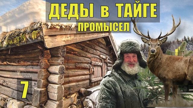ДЕДЫ ДОБЫЛИ ЛОСЯ на всю зиму ПРОМЫСЕЛ ЗАГОН СЛУЧАЙ в ТАЙГЕ СУДЬБА ОХОТА ИЗБА ОТШЕЛЬНИК СЕРИАЛ 7 смотреть онлайн