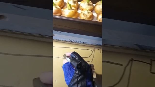 Аэропонная установка по выращиванию лука на перо в домашних условиях. смотреть онлайн