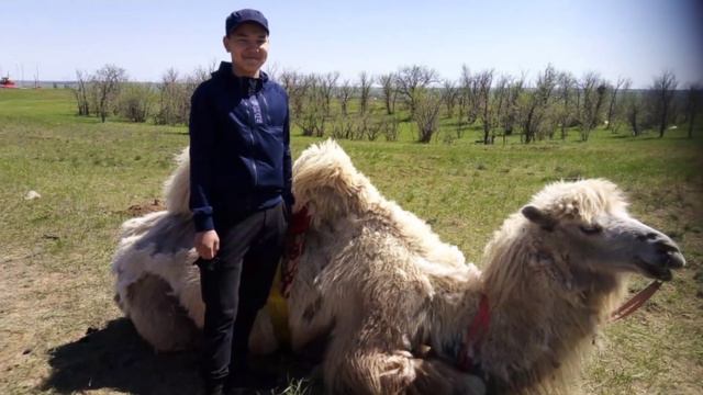 Наши внуки на Верблюжьем Острове! смотреть онлайн