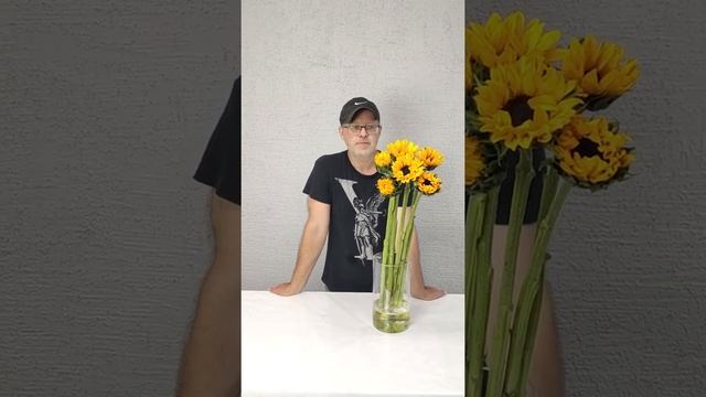 Подсолнух в рубрике #азбука_цветов с Павлом Горбенко #полезныесоветы #лайфхакифлориста