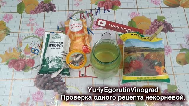 ? Осторожно. Опасные рецепты из интернета. Как я сжег листья на своем винограде. Осыпание завязи. смотреть онлайн