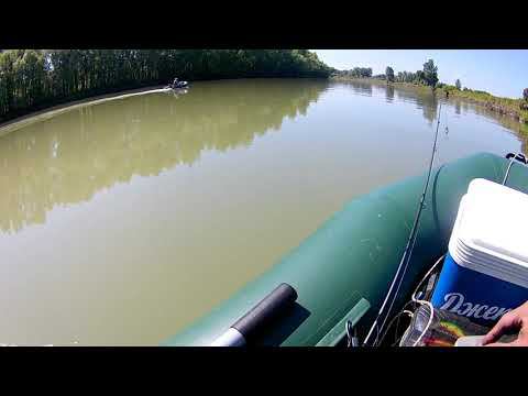 Tohatsu 2.5 Vs SeaPro 2.5
