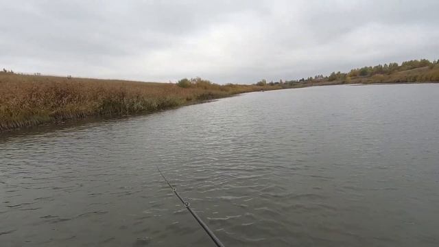 Ловля щуки на воблеры с лодки. TsuYoki Chance спас рыбалку. Рыбалка на спиннинг..... смотреть онлайн