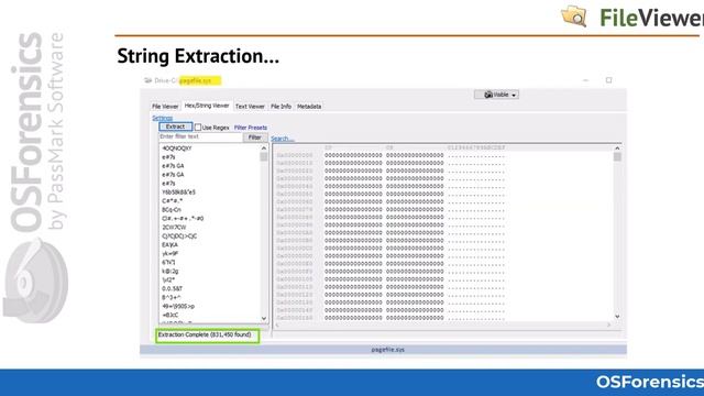 File Viewer, Metadata Analysis and String Extraction with OSForensics смотреть онлайн