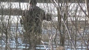 Рыбалка на щуку фитилями ( мережой, вентерями). Открытие сезона рыбалки!