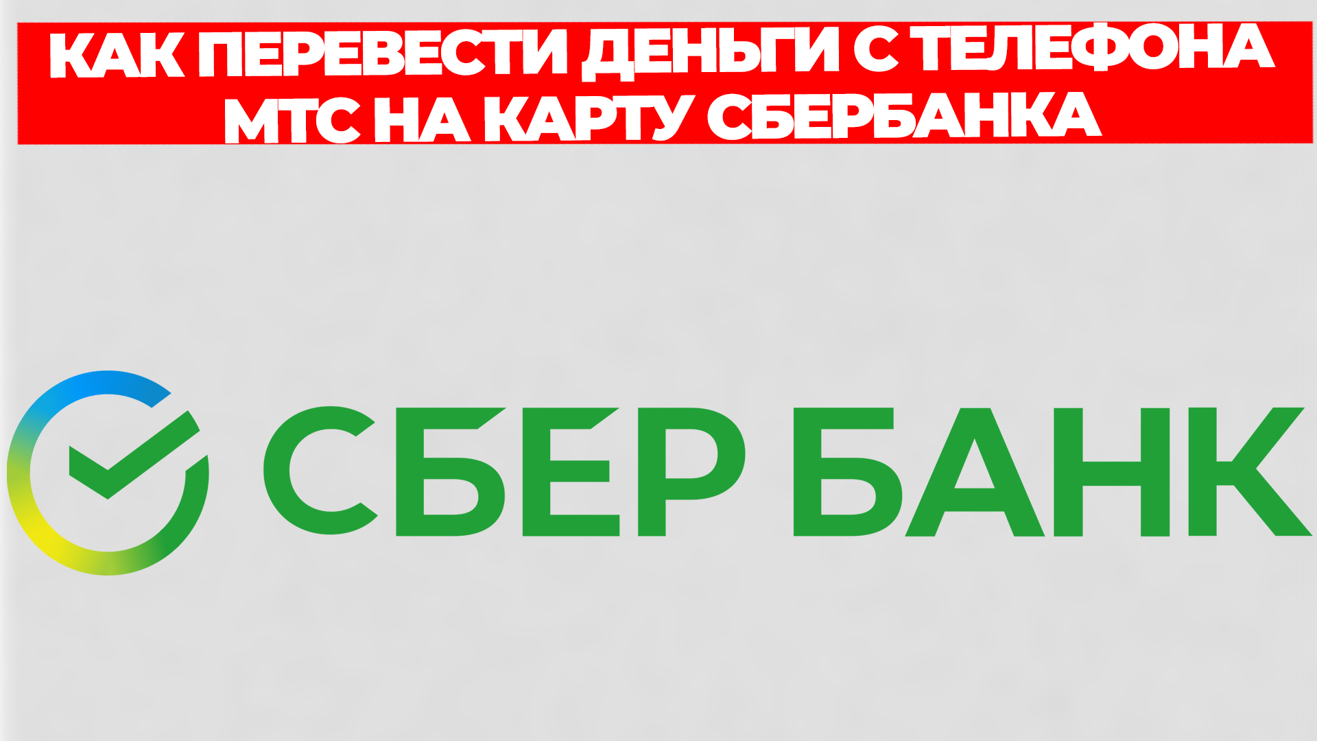 Всезнающий Енот