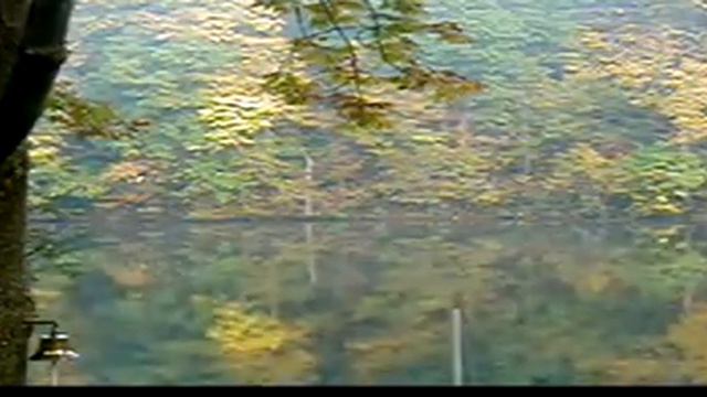 Time Lapse: An Unexpected Fog Bank 10 04 2006 смотреть онлайн
