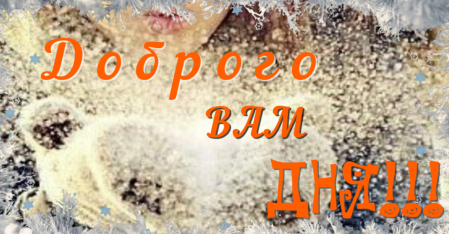 Добрый День ? Красивое Пожелание Доброго Дня смотреть онлайн