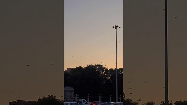 Вечер в Москве смотреть онлайн