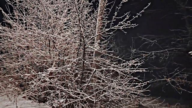 Видеоролик на тему "Зима пришла" смотреть онлайн