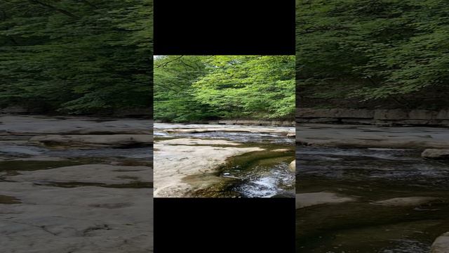 Берег реки Ольховка. смотреть онлайн