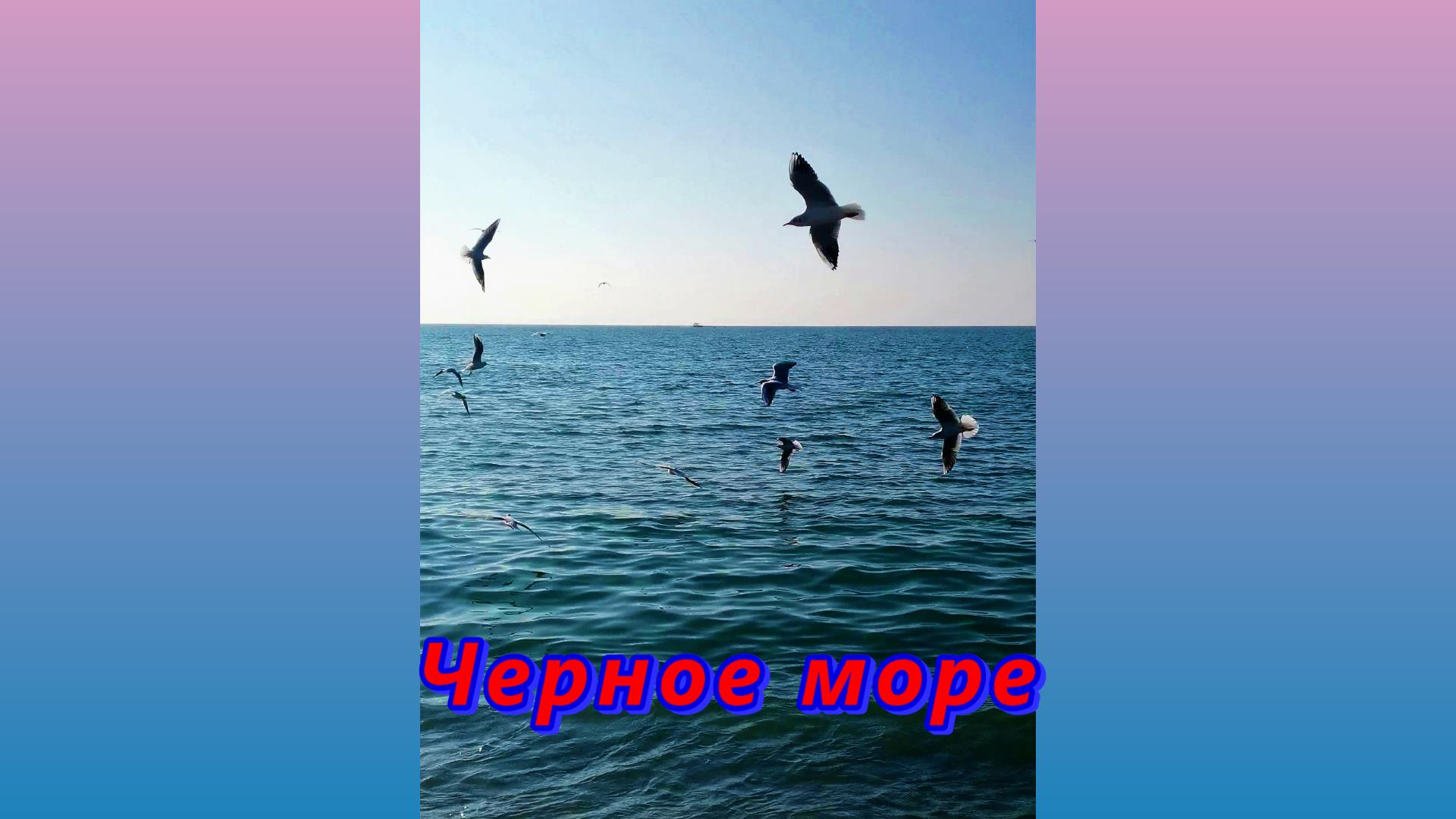 Серебристое, Черное море и крик чаек смотреть онлайн