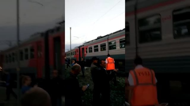 Рога сбрасывают ne только олени no i электричкi смотреть онлайн