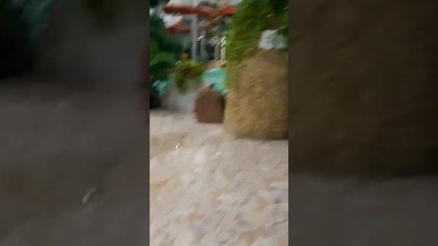 (KAZAN AKVA PARK ) посмотрите видео смотреть онлайн