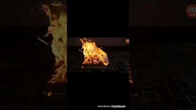 Рыба на спичках смотреть онлайн