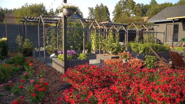 ЗОНА ОТДЫХА В САДУ БЫСТРО И БЮДЖЕТНО | Идеи для вдохновения ландшафтный дизайн смотреть онлайн