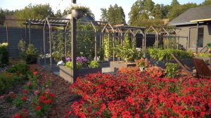 ЗОНА ОТДЫХА В САДУ БЫСТРО И БЮДЖЕТНО | Идеи для вдохновения ландшафтный дизайн