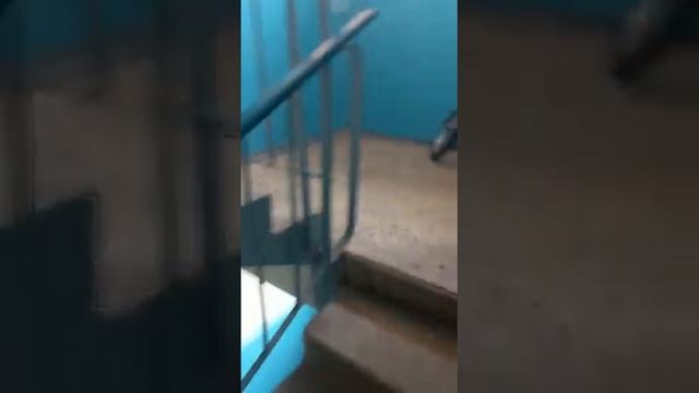 бешенная соседка г. Мончегорск смотреть онлайн
