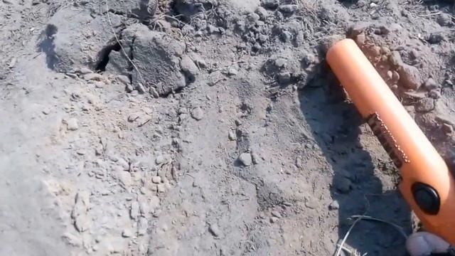 Кошелек с серебряными монетами SOREX PRO смотреть онлайн