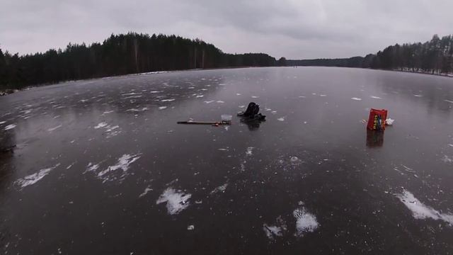 Самий кращий живець для ловлі щуки на жерлиці/Ловля щуки на жерлиці зимою/Зимова риболовля в Україн смотреть онлайн