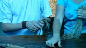 Мастер-класс Удивительная крапива.  Крапива. Кудель и пряжа из крапивы. Все из крапивы.