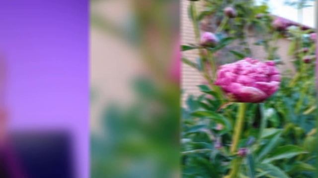 Обзор Samsung Galaxy A14