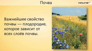 Что мы знаем о почве (Инфоурок)