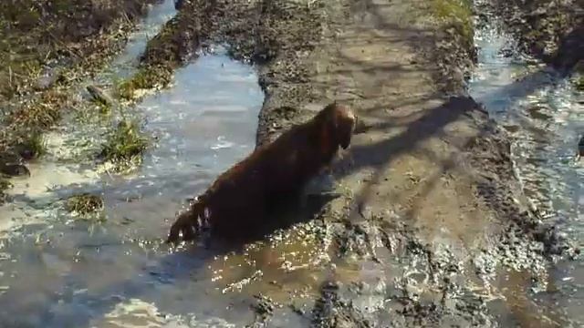 мартин в луже -- очень доволен смотреть онлайн