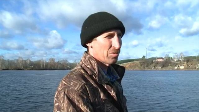 Лебедь не улетает на зимовку смотреть онлайн