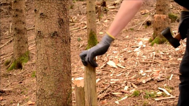 The Treehousecabin Project Completed Full Build смотреть онлайн