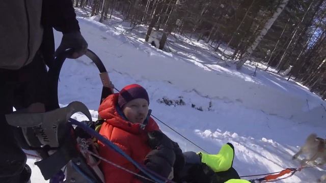 Цены на машины растут ☝️. Ездим на собаках. смотреть онлайн