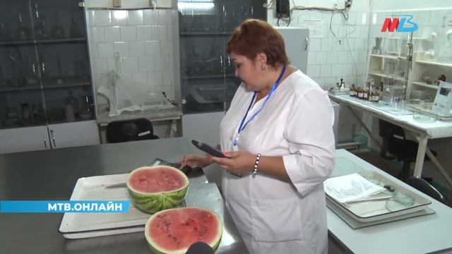 Как выбрать арбуз, на что обращать внимание: в Волгограде открыт арбузный сезон смотреть онлайн